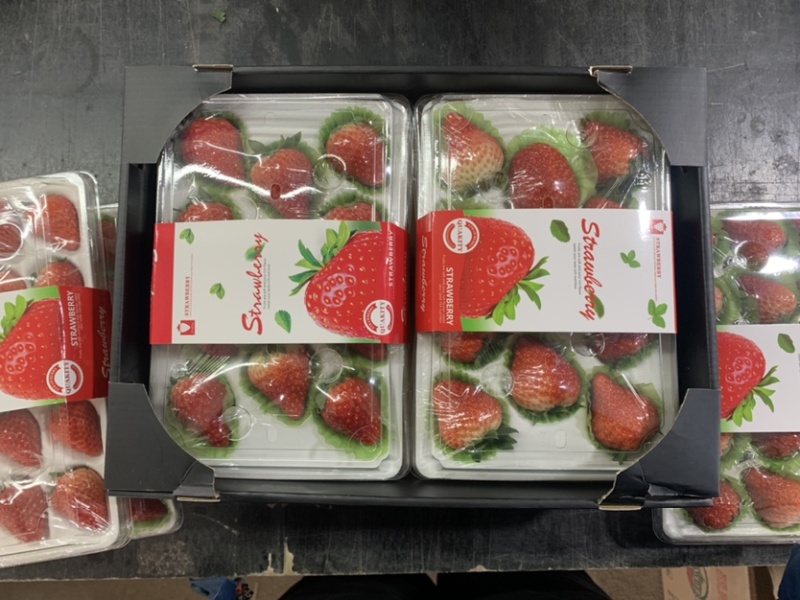辽宁丹东99草莓红颜草莓奶油草莓市场批发