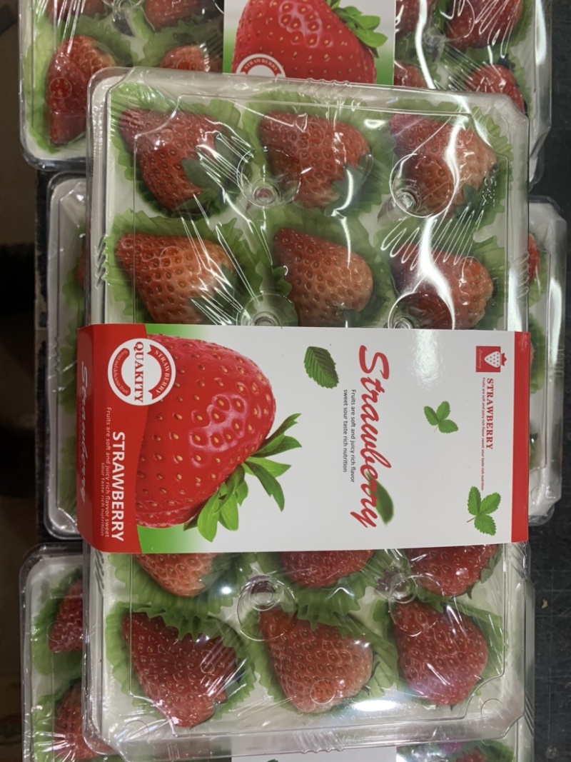 辽宁丹东99草莓红颜草莓奶油草莓市场批发