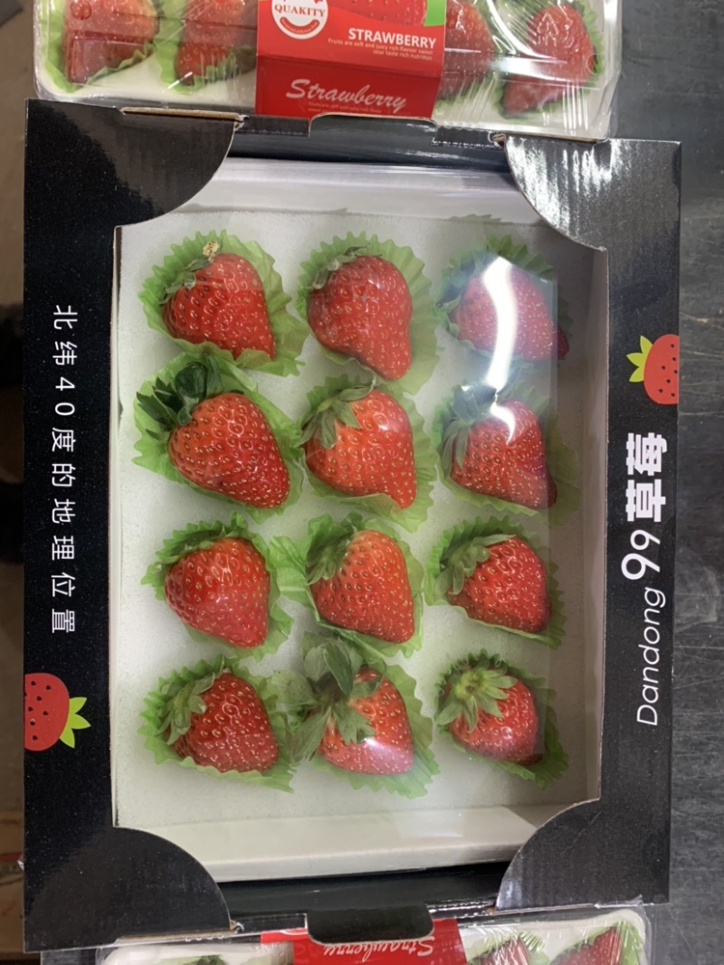 辽宁丹东99草莓红颜草莓奶油草莓市场批发