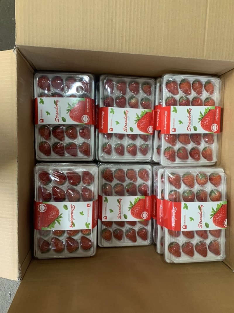 辽宁丹东99草莓红颜草莓奶油草莓市场批发