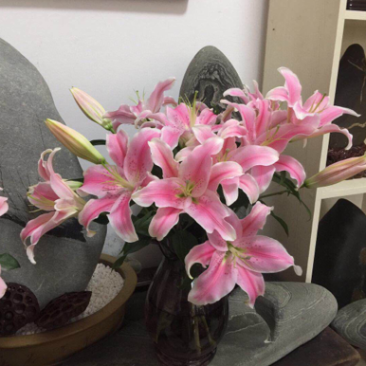 包邮10支各色香水百合鲜切花水养鲜花百合批发一件代发