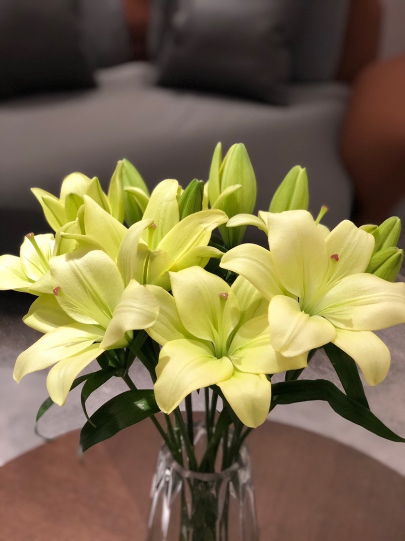 包邮10支各色香水百合鲜切花水养鲜花百合批发一件代发