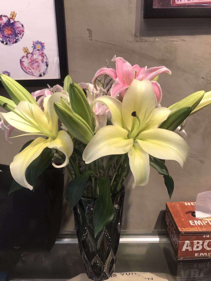 包邮10支各色香水百合鲜切花水养鲜花百合批发一件代发