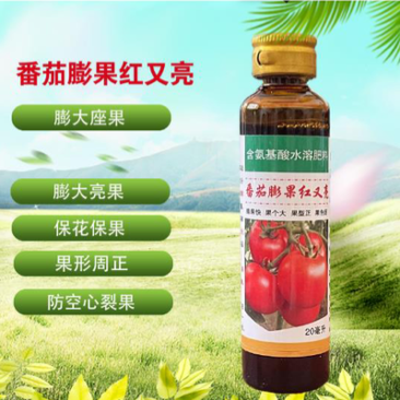番茄专用座果膨大素坐果膨大植物生长叶面肥着色提亮增产