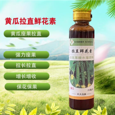 风光黄瓜拉直鲜花王拉长拉直座果带花瓜条顺直保花保果