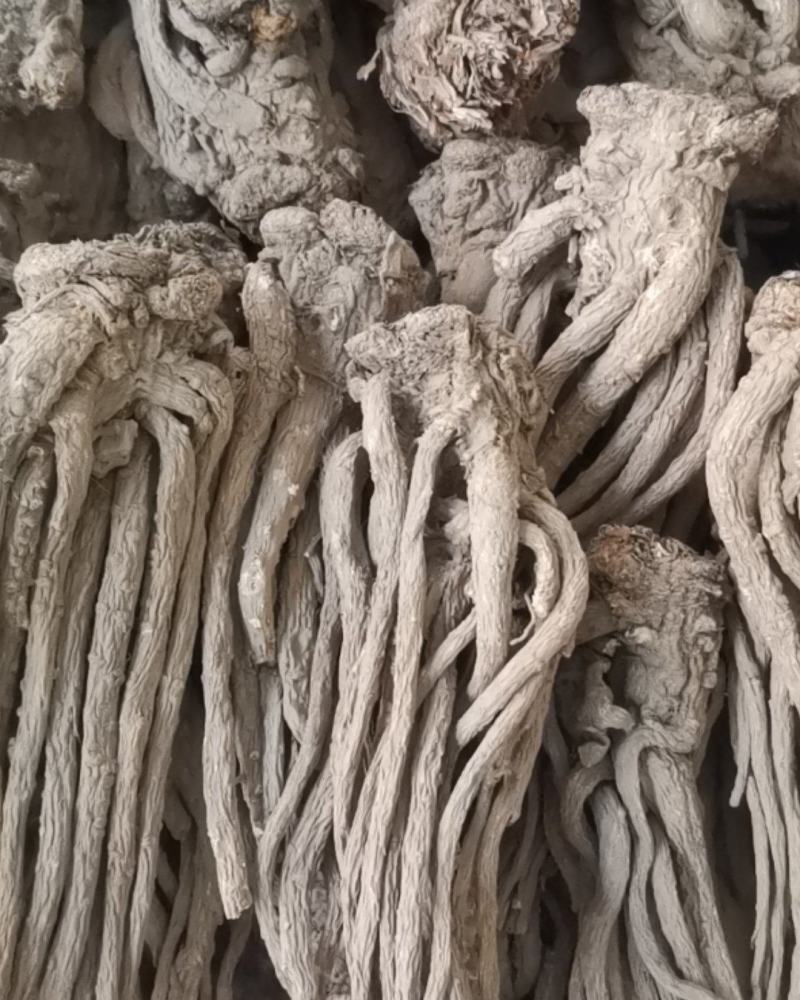 优质甘肃岷县大当归条货干无硫欢迎惠顾规格齐全