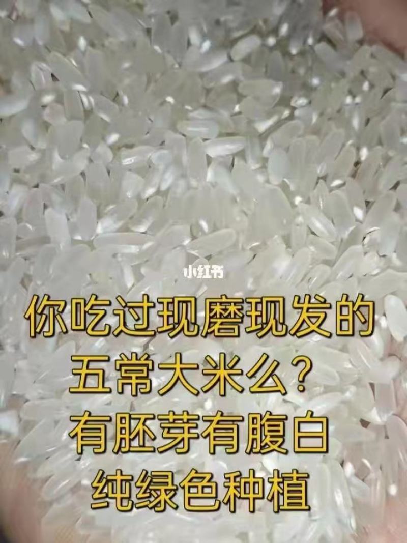 五常大米稻花香纯种东北大米，从农民手上直接拿货，假一赔十