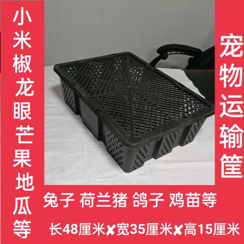 水果宠物家禽苗运输筐