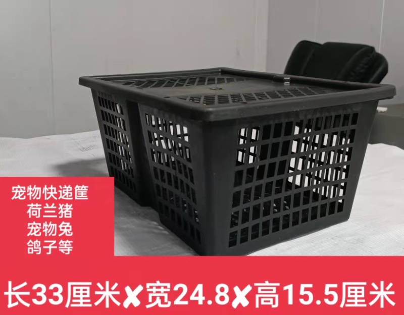 水果宠物家禽苗运输筐