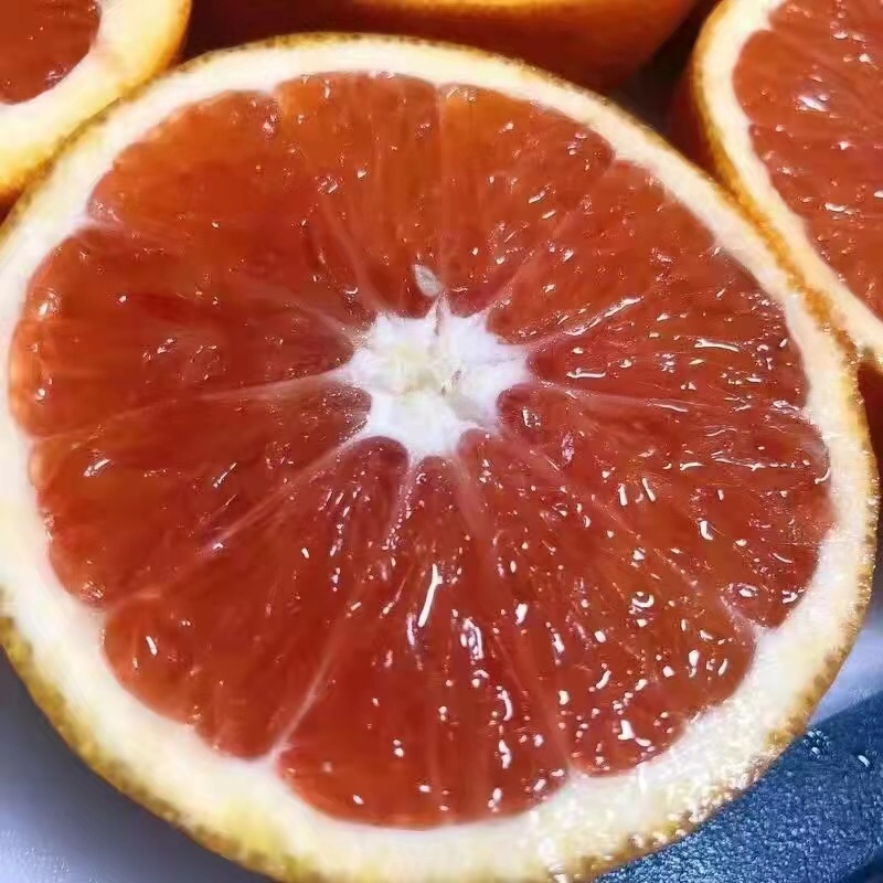 秭归中华红血橙，红橙，肉质细腻，看园订货