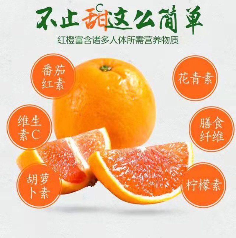 秭归中华红血橙，红橙，肉质细腻，看园订货