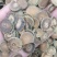 正宗化州化橘红批发零售全国(2.2cm-2.4cm)