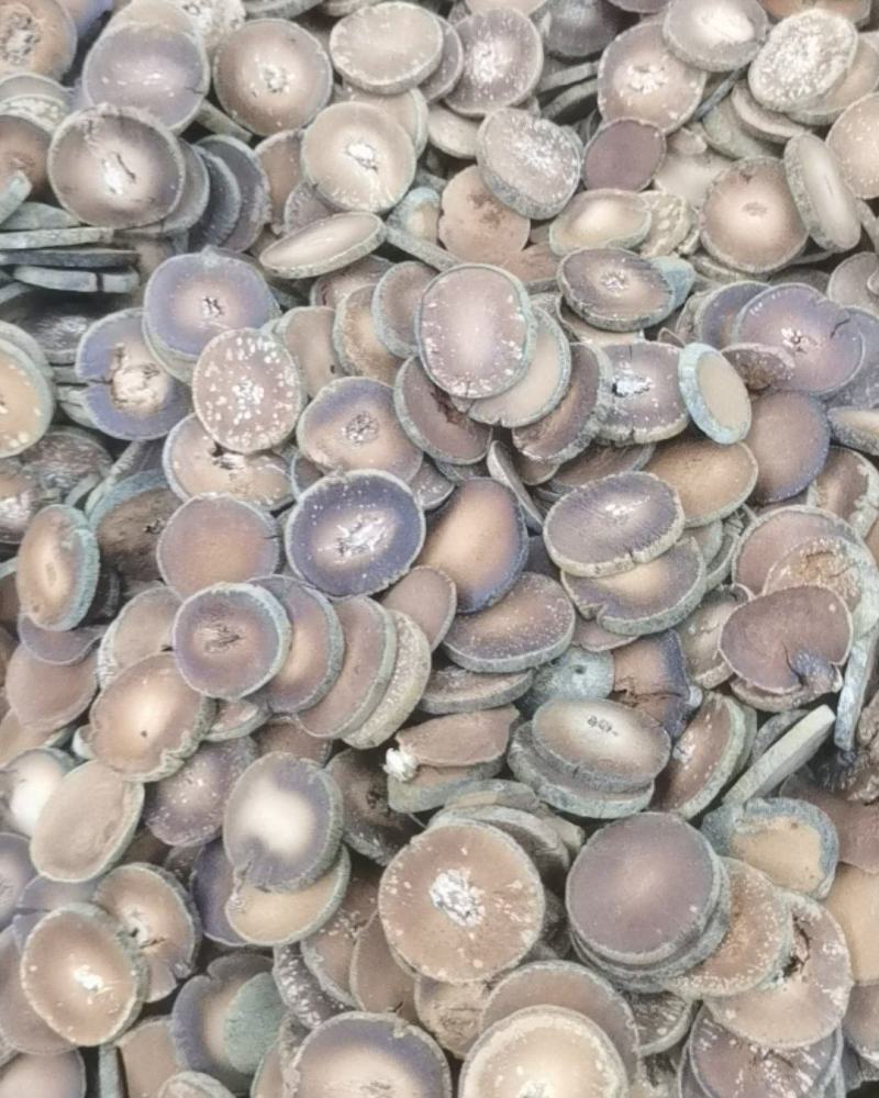 正宗化州化橘红批发零售全国(2.2cm-2.4cm)