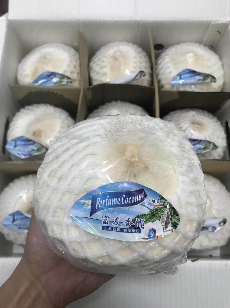 泰国椰青，清甜可口，欢迎各大渠道对接椰子鸡店，二级批发商