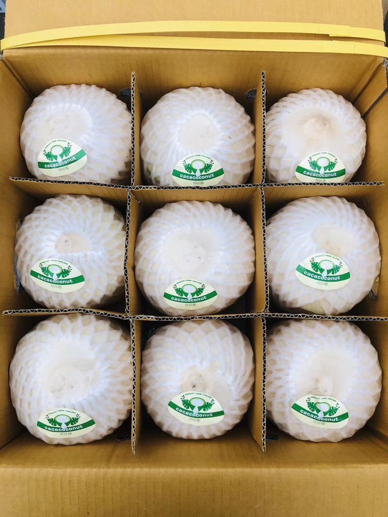 泰国椰青，清甜可口，欢迎各大渠道对接椰子鸡店，二级批发商