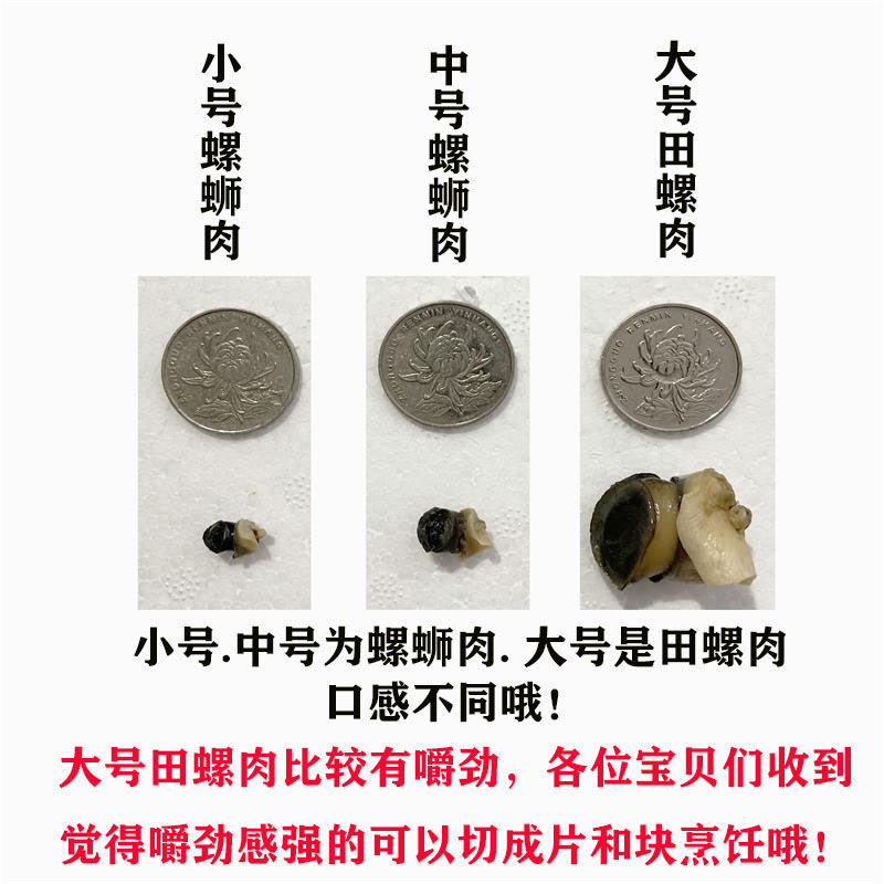 【产地】螺蛳肉田螺肉大量货源田螺肉包邮