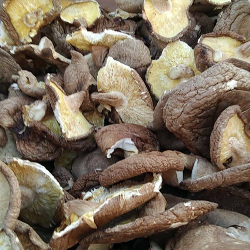 今年新货大片香菇剪平脚3至4厘米，是做馅或食品厂选择