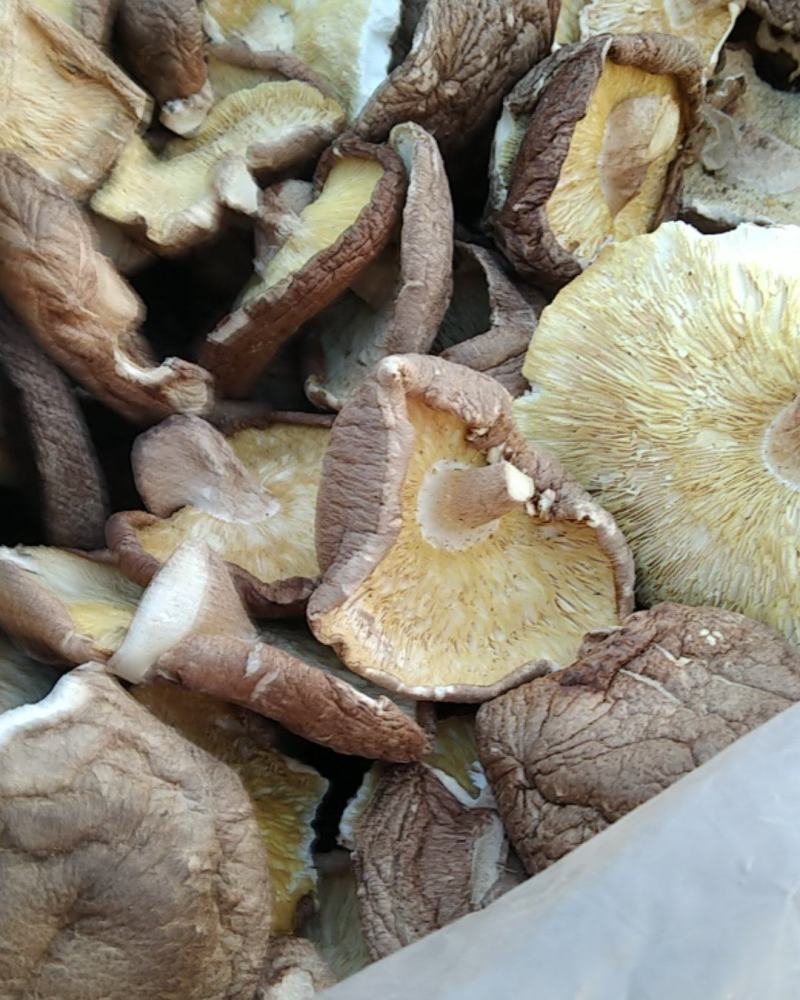 今年新货大片香菇剪平脚3至4厘米，是做馅或食品厂选择