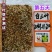 进口红白三叶草籽种子易活绿化四季青草坪多年生牧草果园绿肥