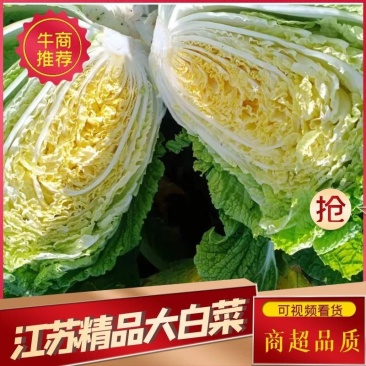 纯黄心短棵黄心大白菜大量上市