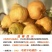 2025年新鲜中华丑梨一件代发软糯香甜源头直发实力供应链