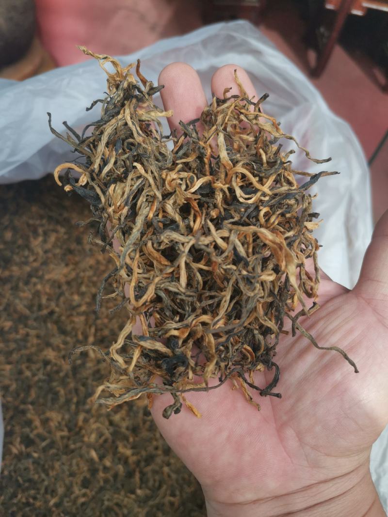 红茶滇红白号红茶蜜香红茶单芽一芽一叶