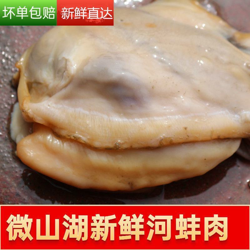 【包邮-河蚌】热销新鲜活体现杀去壳无沙新鲜河蚌多规格贝类