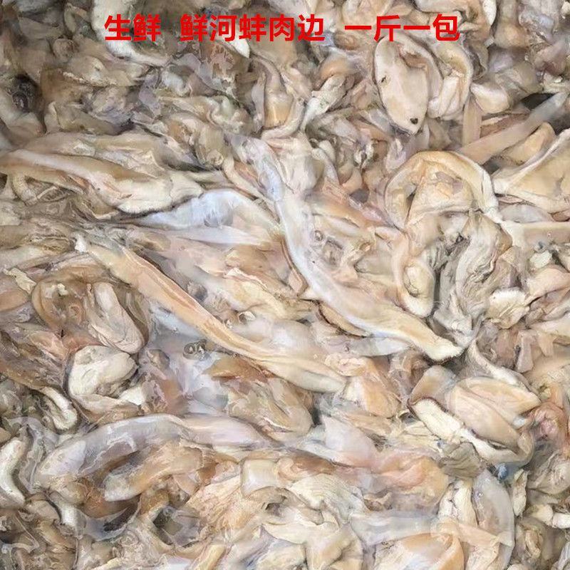 【包邮-河蚌】热销新鲜活体现杀去壳无沙新鲜河蚌多规格贝类