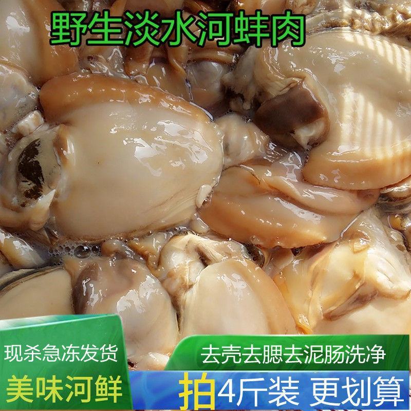 【包邮-河蚌】热销新鲜活体现杀去壳无沙新鲜河蚌多规格贝类