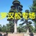 供应高度1米-10米造型日本罗汉松进口罗汉松盆景