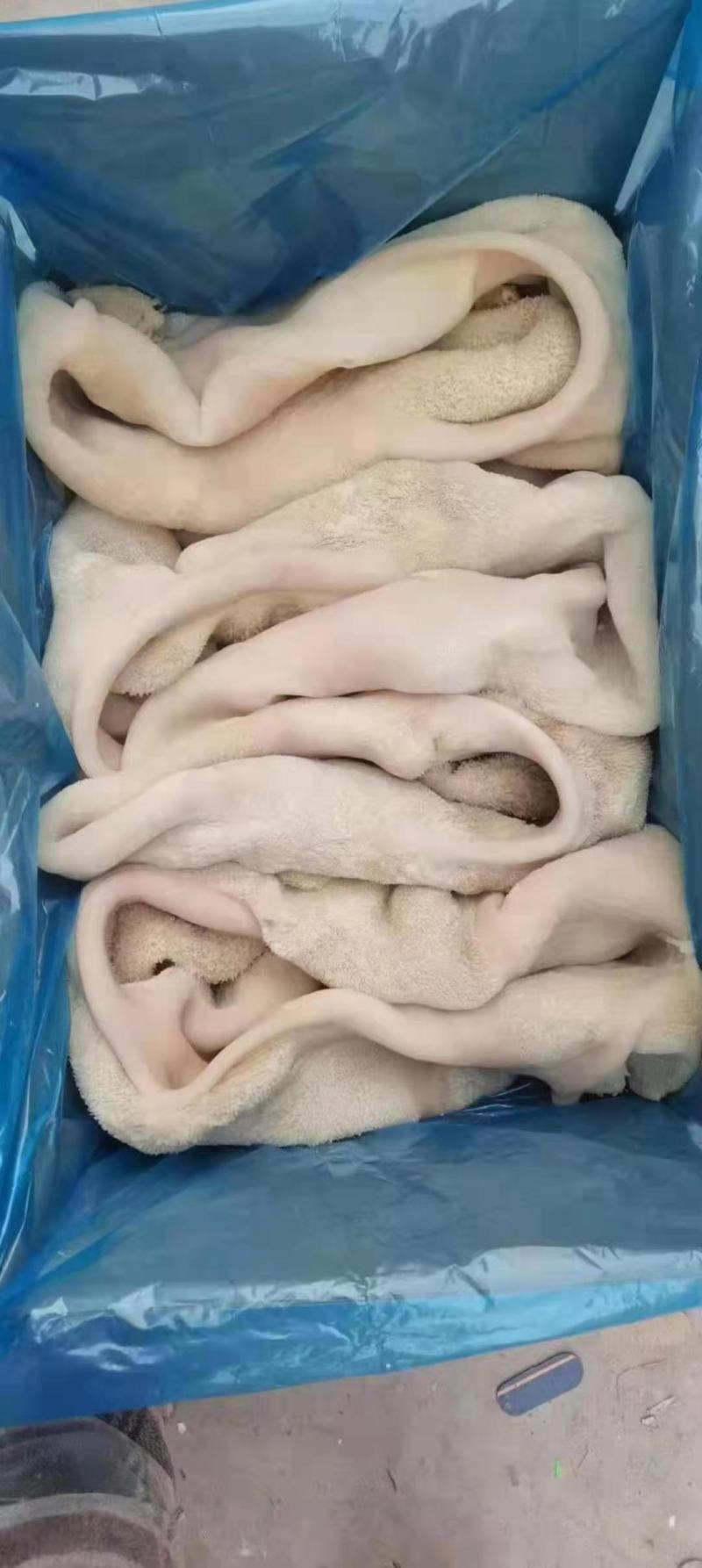 广东牛百叶