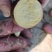 山东佳盈薯业现大量出售红薯1-5两5两以上价格低质量好欢