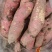 山东佳盈薯业现大量出售红薯1-5两5两以上价格低质量好欢