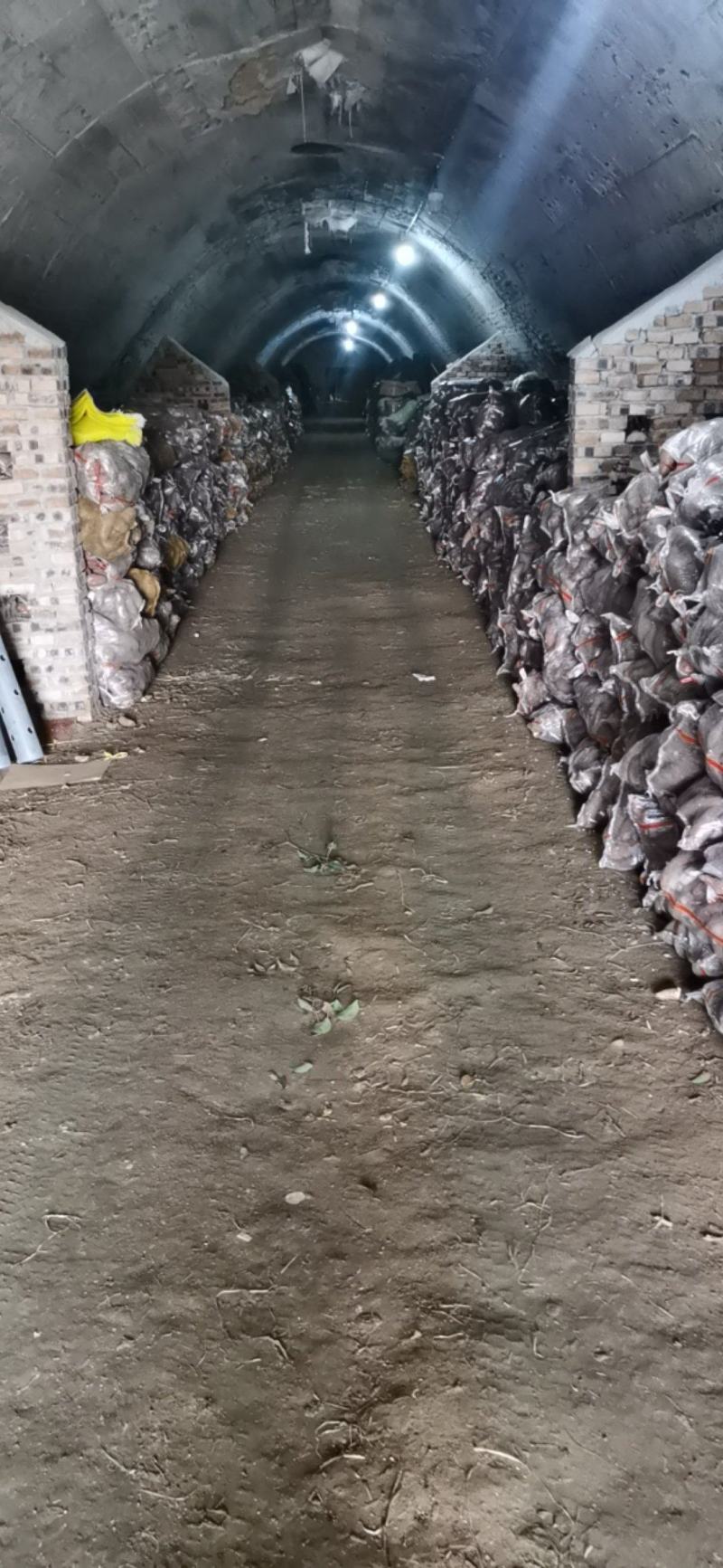 山东佳盈薯业现大量出售红薯1-5两5两以上价格低质量好欢