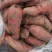 山东佳盈薯业现大量出售红薯1-5两5两以上价格低质量好欢
