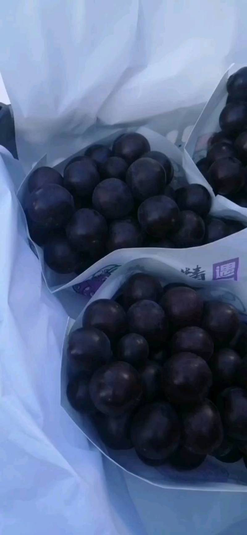 北镇冷库巨丰葡萄，四斤黑箱，小白箱火热热销中，质量好