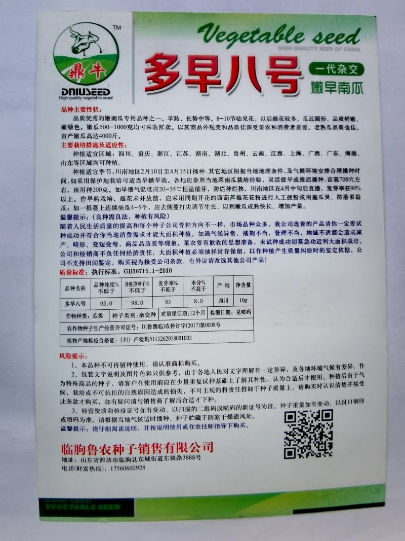 南瓜种子多早八号青绿外观美品质优早熟结瓜多
