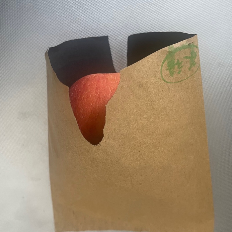 果袋水果套袋加工定制厂家批发大号加强果袋