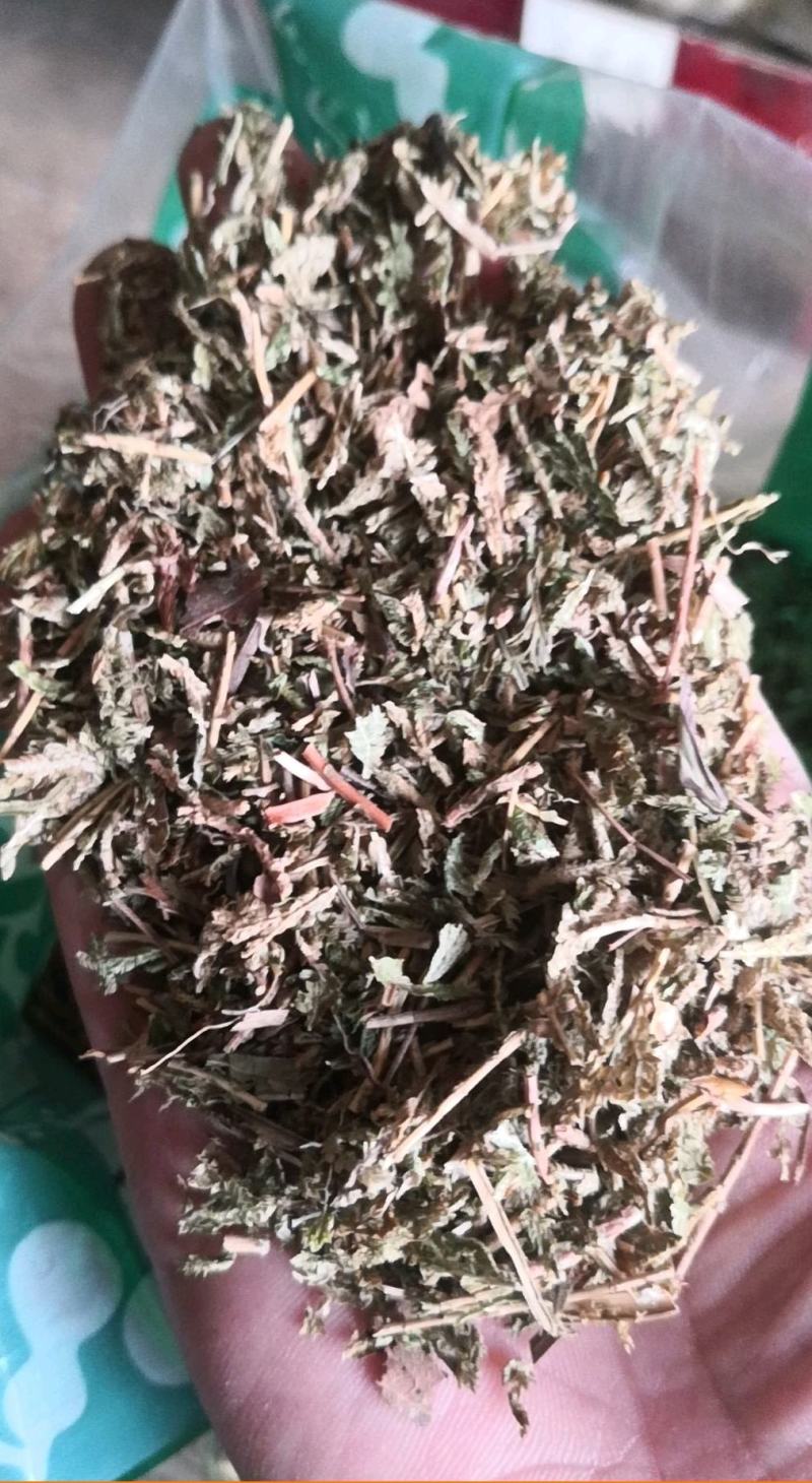 石上柏冷背药材齐全质量保证不满意可无理由退换货