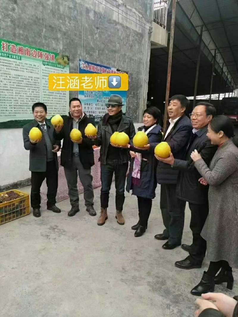 湖南江永正宗老树沙田柚，无公害，施农家肥，清甜可口。