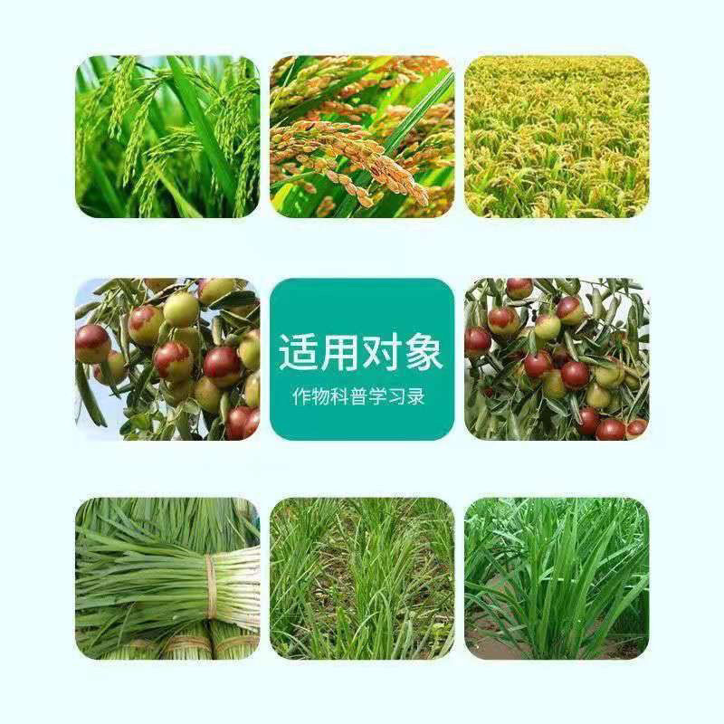 50%多菌灵大富生灰霉白粉叶斑锈病稻瘟白粉果树蔬菜杀菌剂