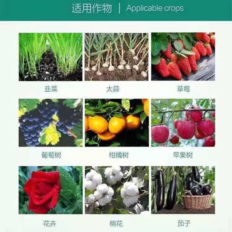 50%多菌灵大富生灰霉白粉叶斑锈病稻瘟白粉果树蔬菜杀菌剂