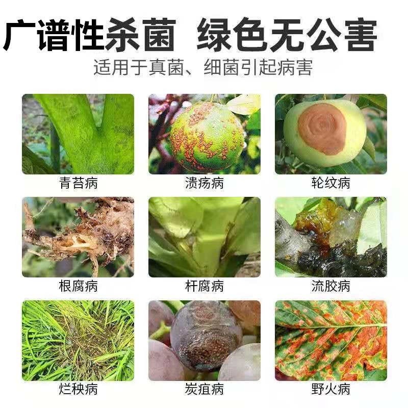 50%多菌灵大富生灰霉白粉叶斑锈病稻瘟白粉果树蔬菜杀菌剂