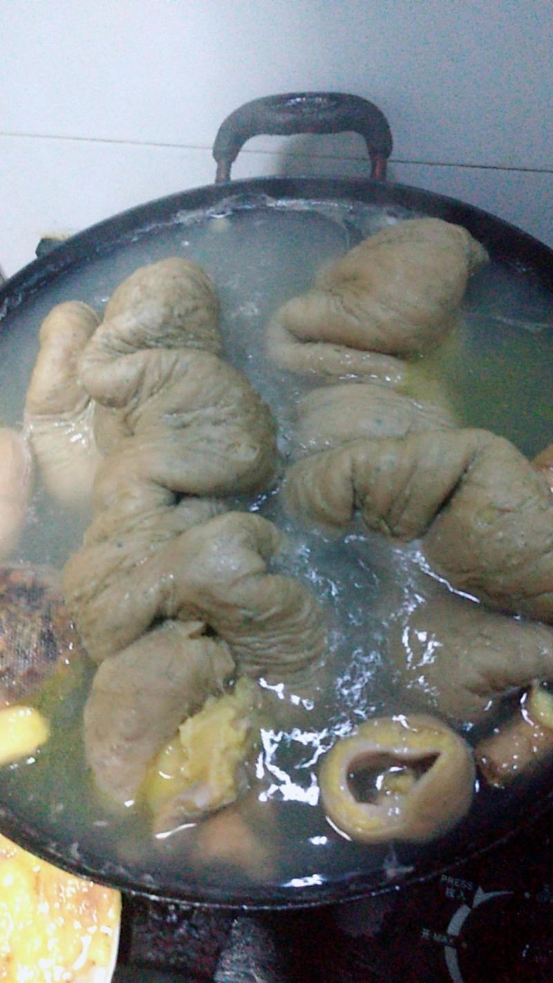 新鲜生马肠马大肠马肚马胃马板肠马小肠下水生马肉包邮