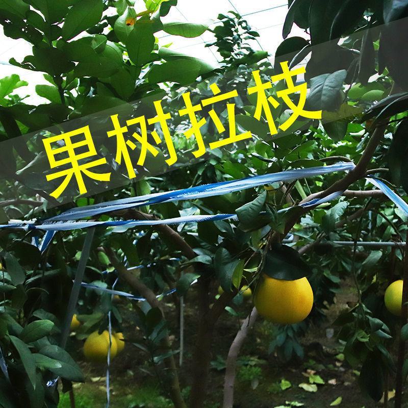 大棚布条绳，适合各种绑苗，果树拉枝用，优惠美丽！