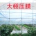 大棚布条绳，适合各种绑苗，果树拉枝用，优惠美丽！