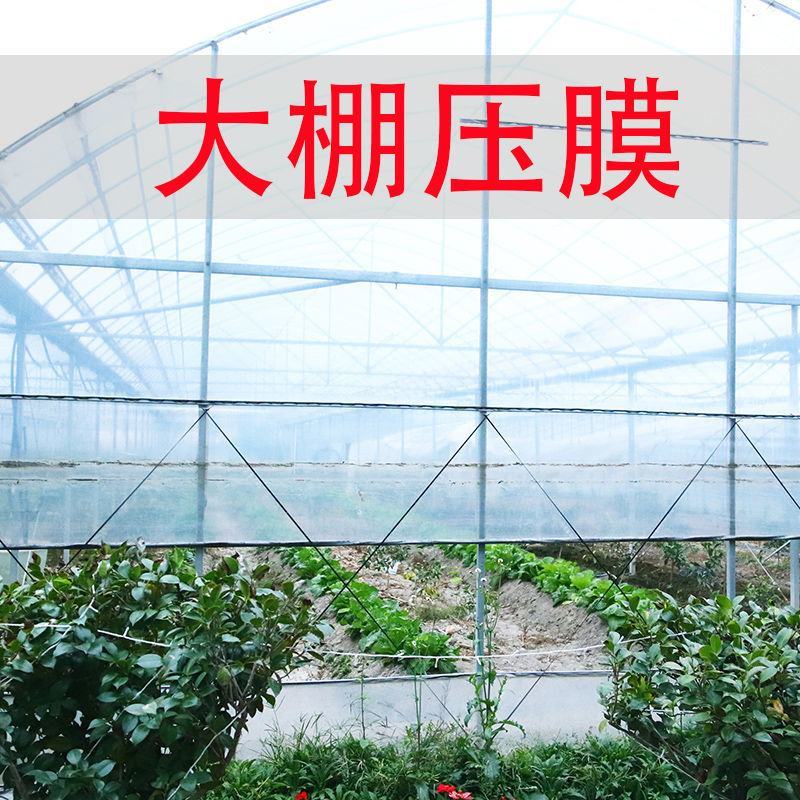 大棚布条绳，适合各种绑苗，果树拉枝用，优惠美丽！