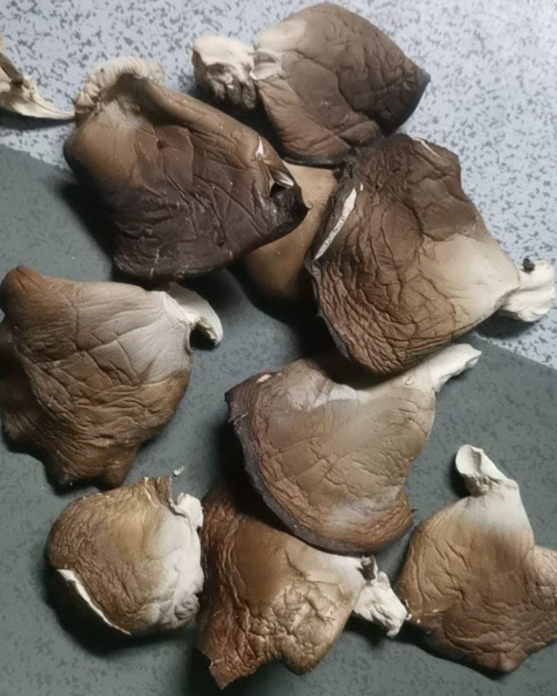 干平菇烘干平菇真空包装平菇帽精挑平菇