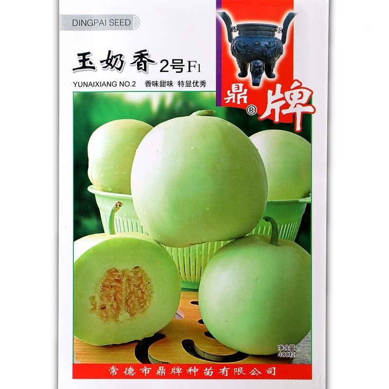 鼎牌玉奶香2号甜瓜种子。400粒，甜度19.5度