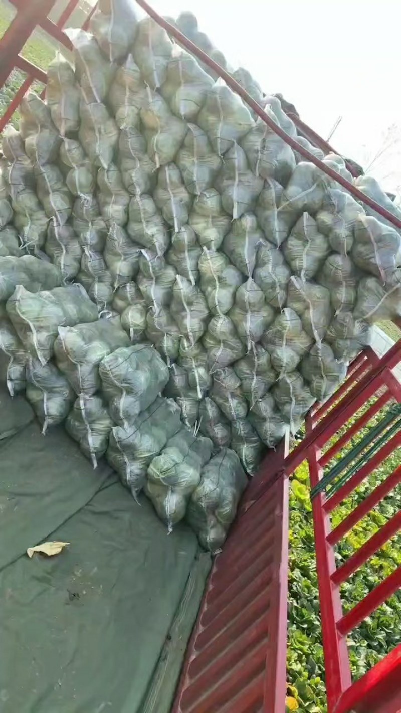 蔬菜，精品干蓝，颜色青绿，口感清脆，产地直销，